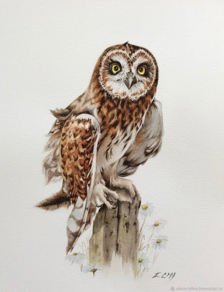 Елена Селина художник Совы