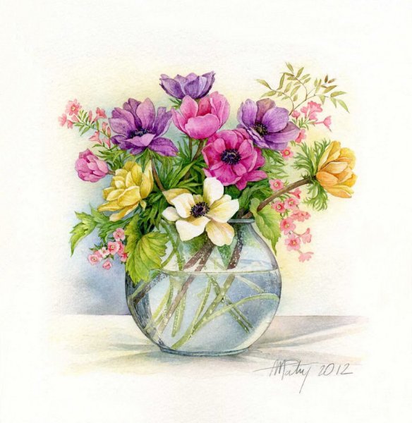 OLANTA «летний букет»