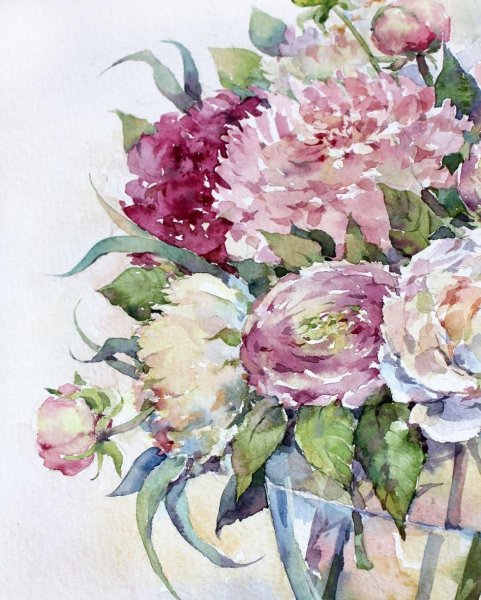 Пионы Девятковой Елены