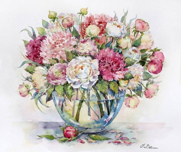 Елена Вавилина пионы