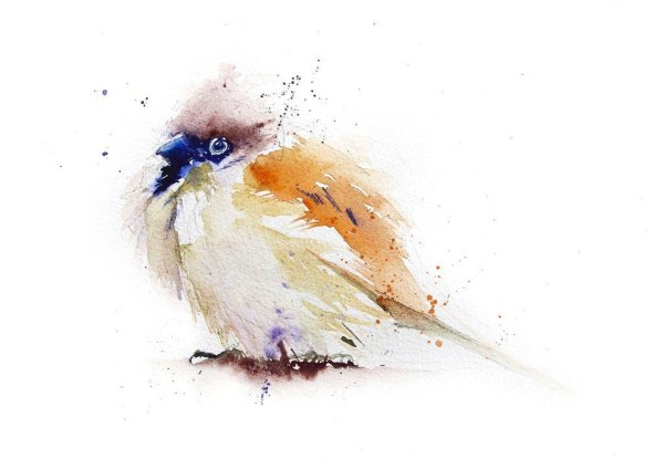 Птицы живопись акварель