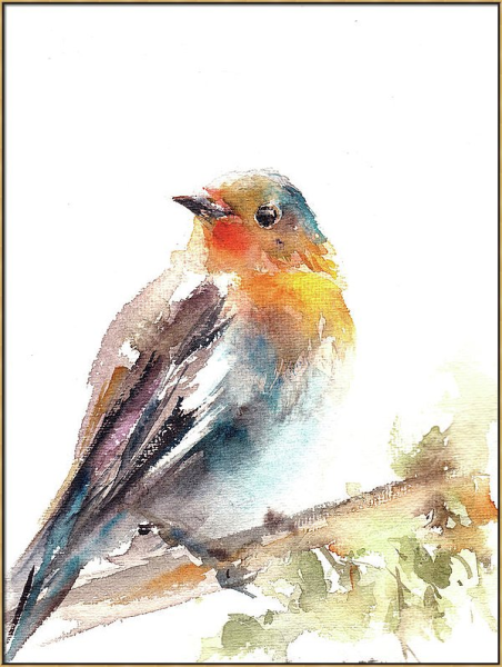 Наброски птиц акварелью