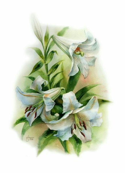 Цветы акварель Анастасии Бесединой