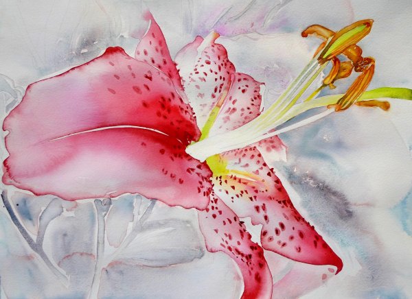 Волшебные цветы акварель