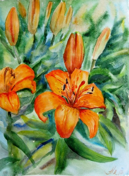 Лилии акварелью