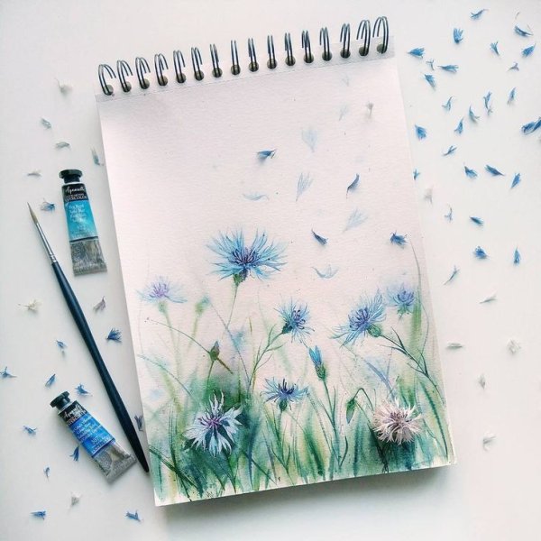 Простые Акварельные скетчи