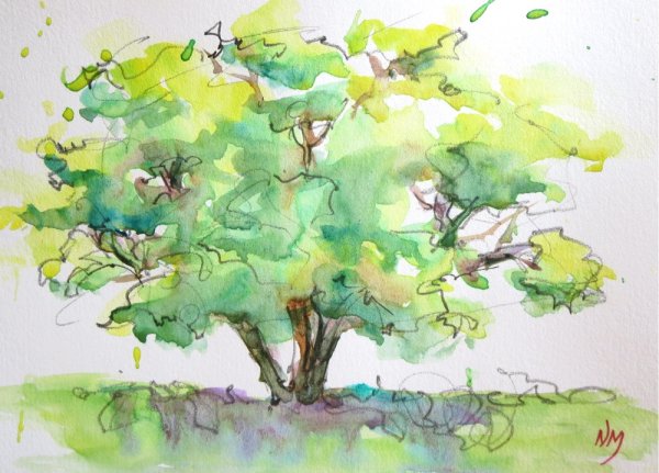 Краска для дерева