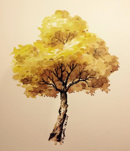 Осеннее дерево акварелью