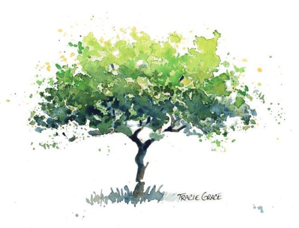 Стилизованные деревья акварель
