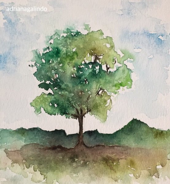 Деревья акварелью