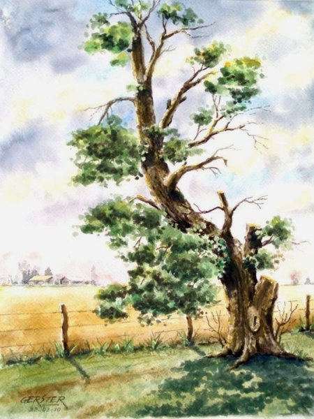 Живописное дерево акварелью