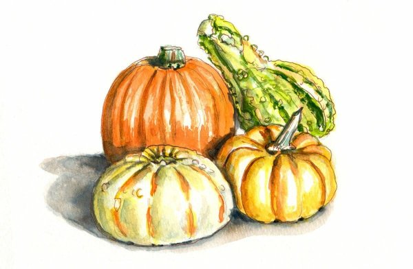 Хэллоуинская тыква акварелью