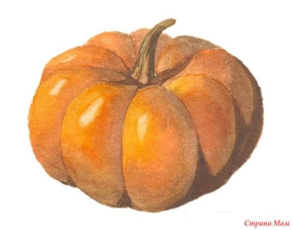 Тыква скетч