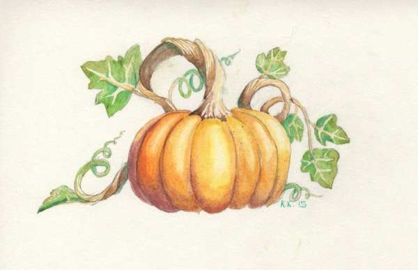 Тыква акварелью