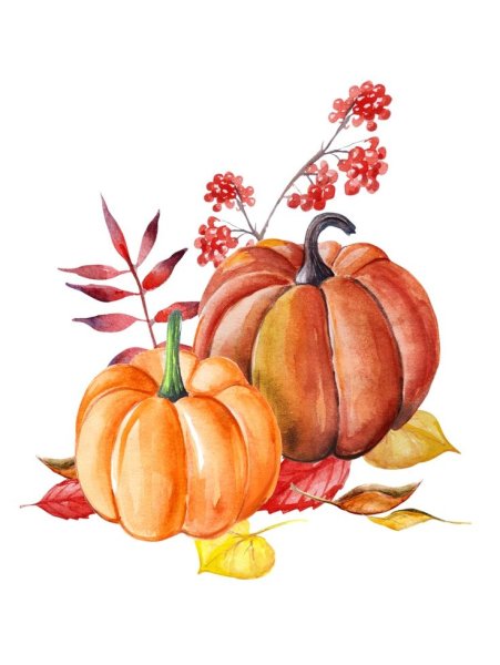 Осень тыква акварель