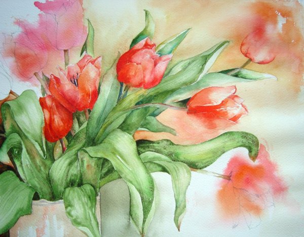 Тюльпаны акварелью