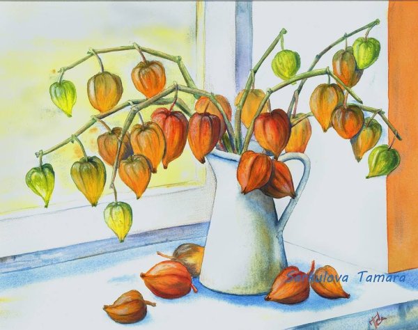 Физалис акварелью