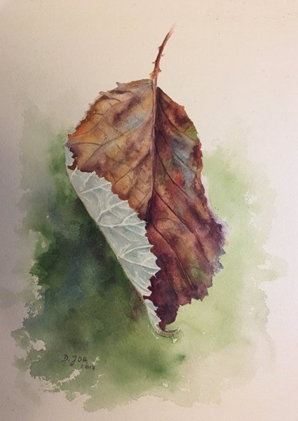 Лист раскрашенный акварелью