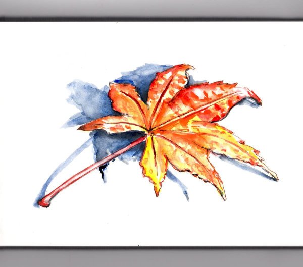 Листья акварель