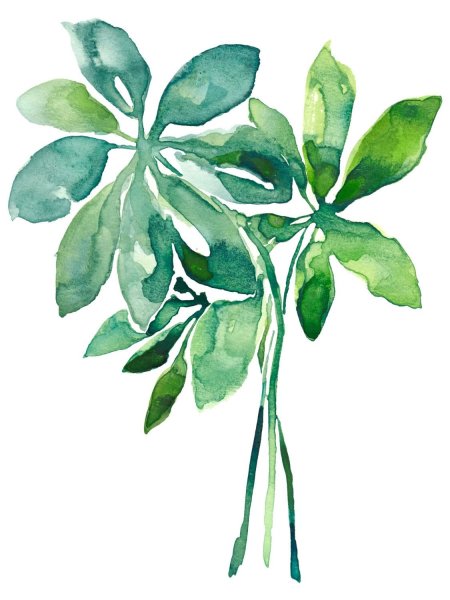 Осень акварель