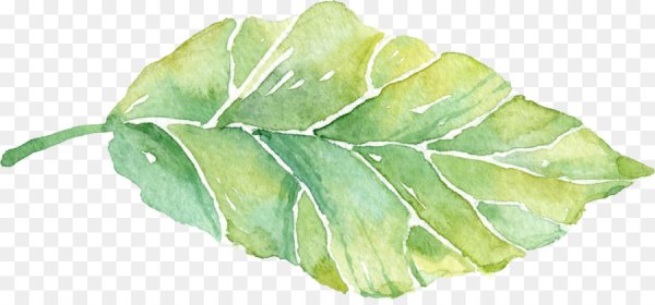 Зеленые тропические листья акварель