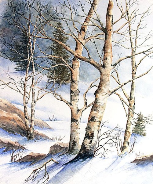 Деревья зимой акварелью
