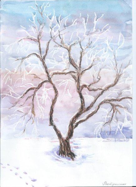 Рисование зимних деревьев