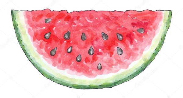 Скетчбук. Арбуз