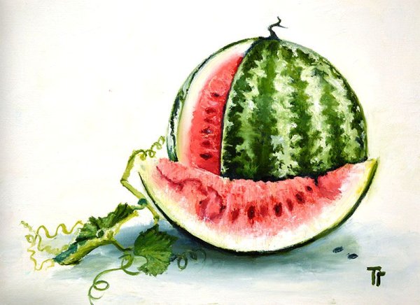 Долька арбуза акварелью