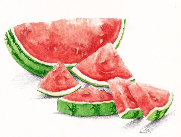 Арбуз референс