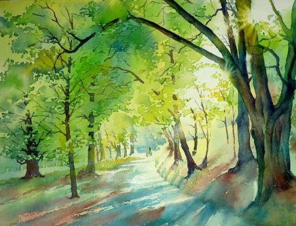 Липовая аллея акварель