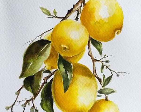 Лимон акварелью