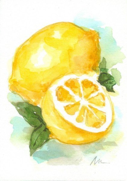 Фрукты акварелью для начинающих