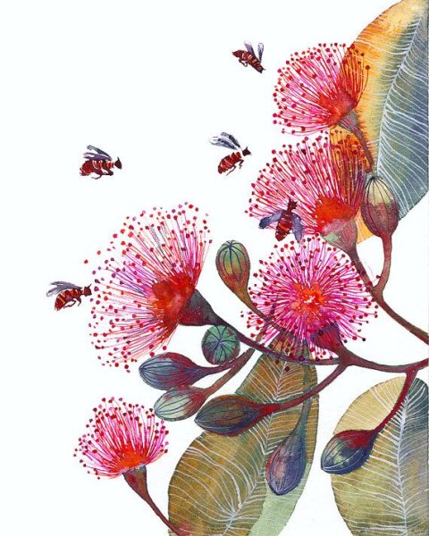 Экзотические цветы акварелью