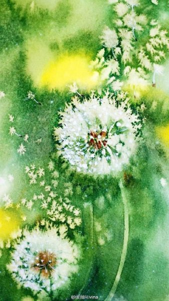 Одуванчик акварелью пленэр