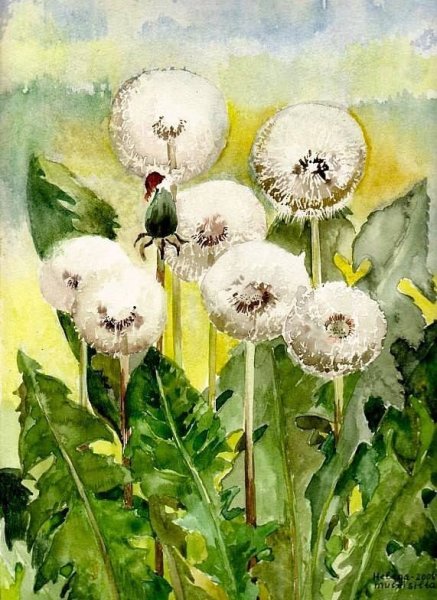 Рисование акварелью одуванчиков