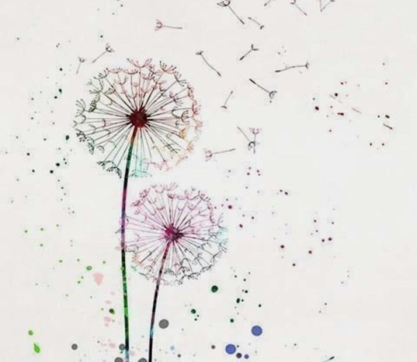 Рисование акварелью одуванчиков