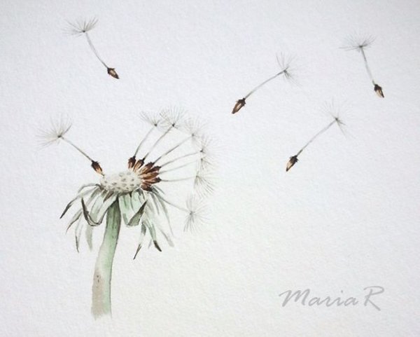 Одуванчиковое поле акварелью