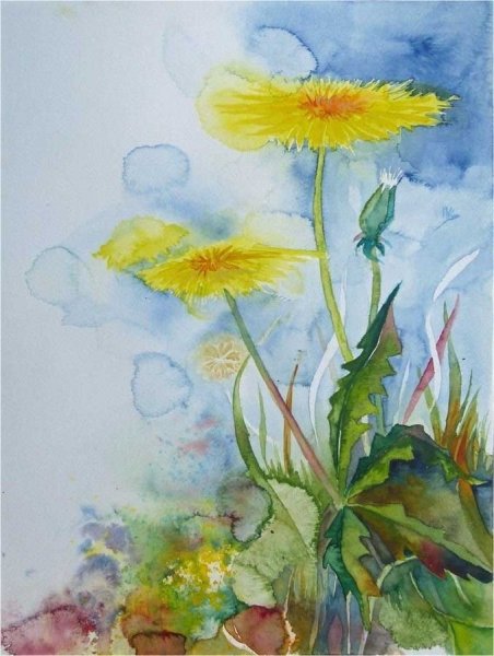 Одуванчик акварелью пленэр
