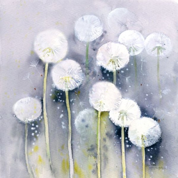 Одуванчики Плинер