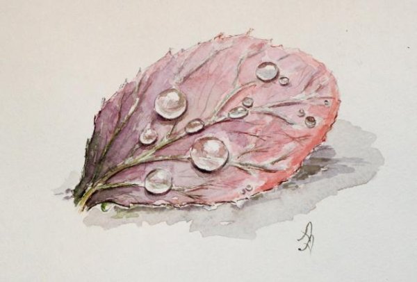 Капли на листе акварелью