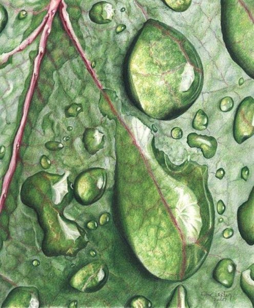 Капля цветными карандашами