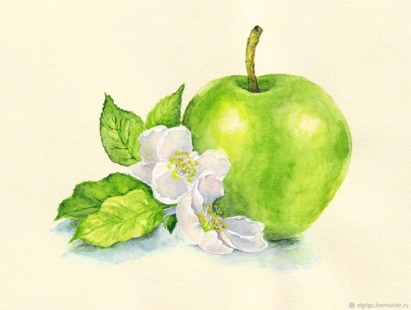 Яблоко акварелью