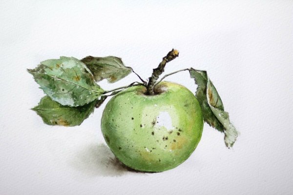Яблоко акварелью лессировка