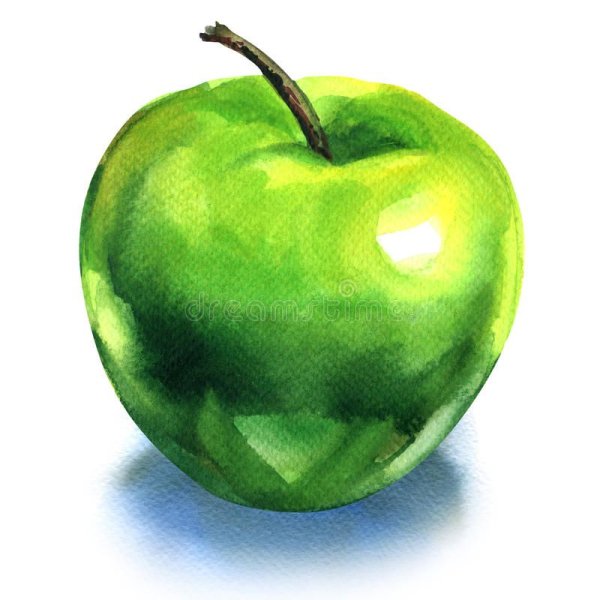 Зеленое яблоко акварелью