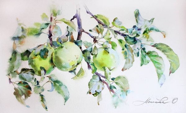 Этюд яблока гуашью Академическая живопись