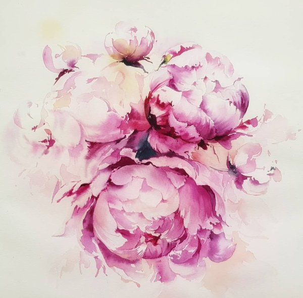 Акварель Тюлькина пионы