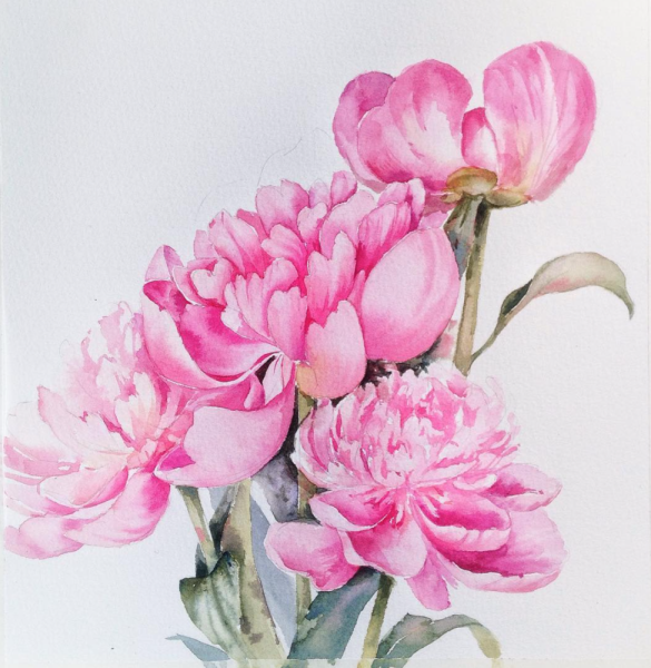 Карен Клюглейн пион акварель