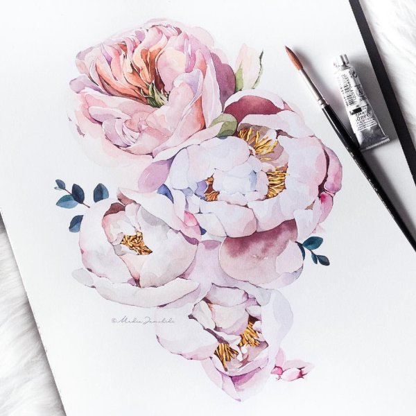 Хайлайтс акварельный пион