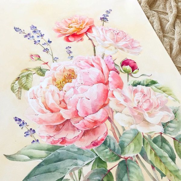 Цветы пионы акварель